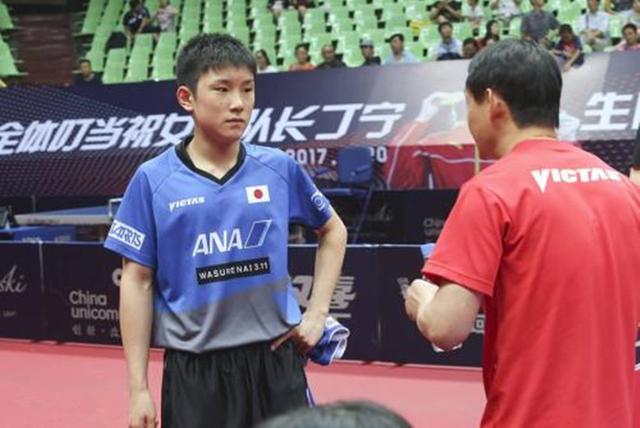 日本报道下的张本智和，聚焦乒坛新星