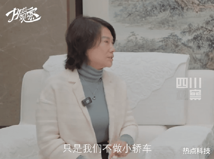 董明珠，格力不做小轿车——坚守与创新的智慧交融