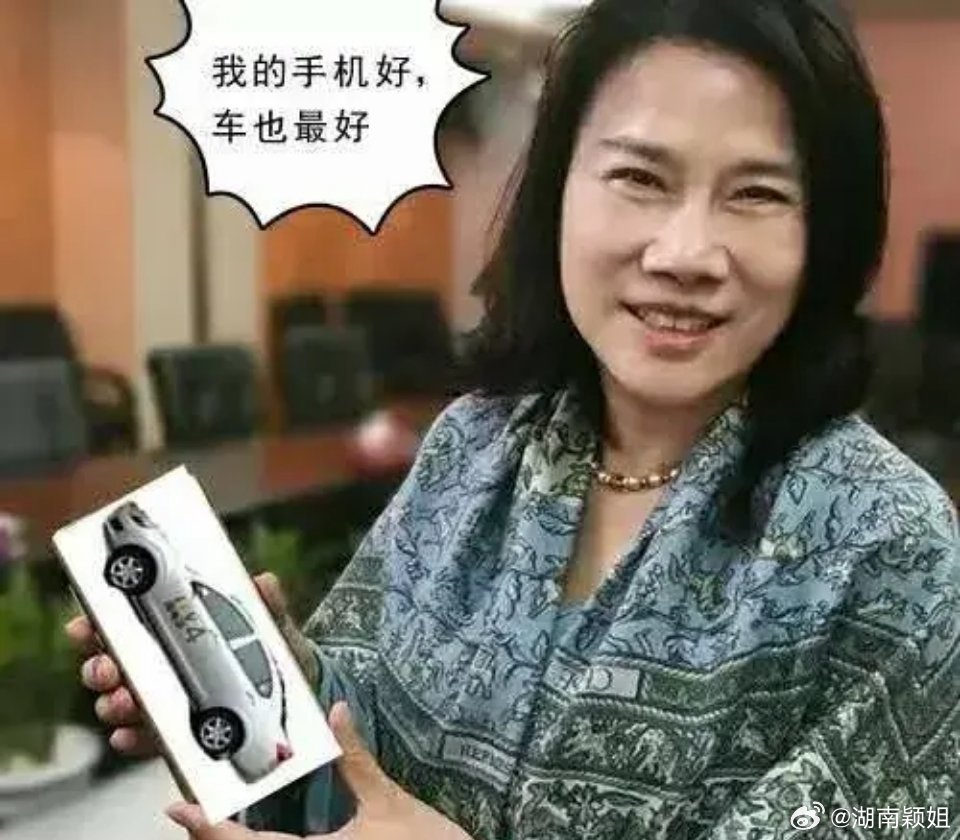 董明珠，格力不做小轿车——坚守与创新的智慧交融