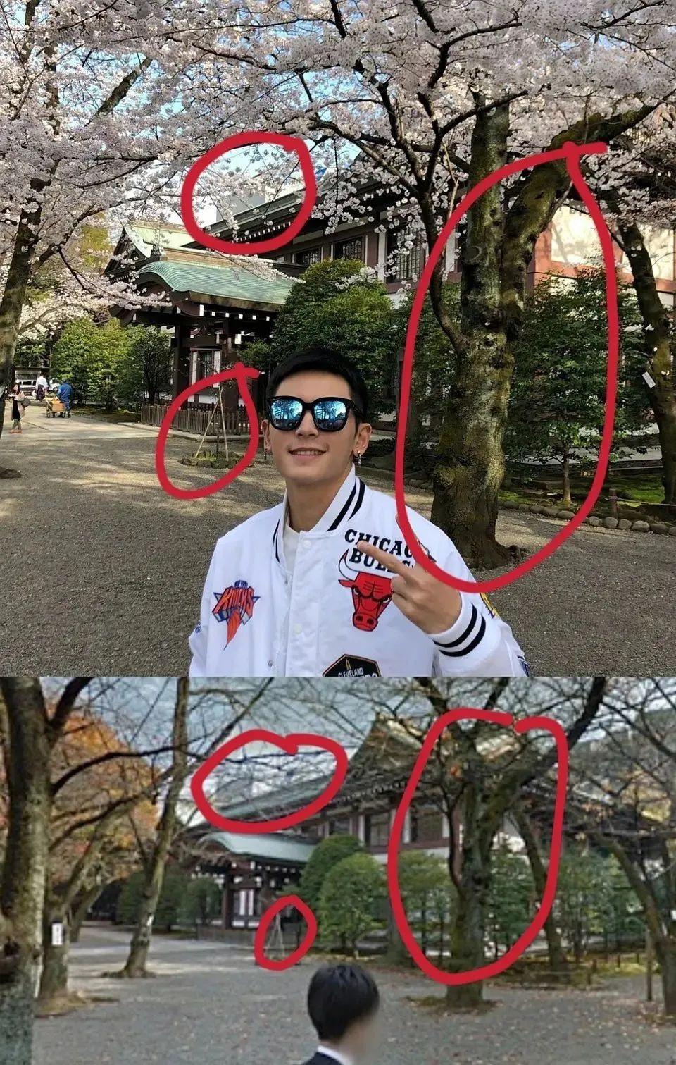 网红与低俗，网络时代的双刃剑现象