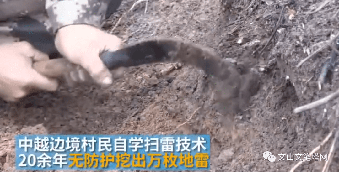 聚焦事件，2020年的一场悲剧——用锄头打死人事件深度解析