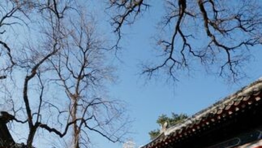 高位截瘫小伙实现意念喝水，意志与科技的奇迹