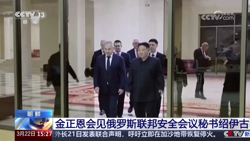 马斯克穿帽衫与特朗普看摔跤比赛的奇妙交织
