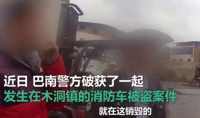 男子卖菜籽意外发现三蹦子载满偷来的菜籽，一场关于诚信的探讨