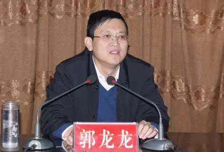 副部级龙翔被查事件深度解读