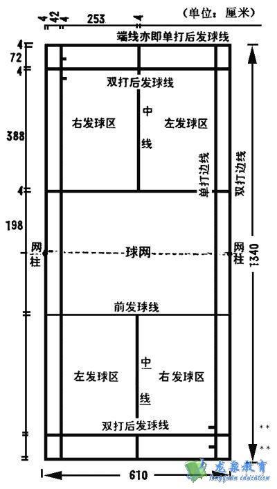 羽毛球超过规定高度，挑战与突破