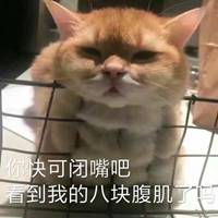 铁栅栏腹肌表情包，网络流行文化的新宠