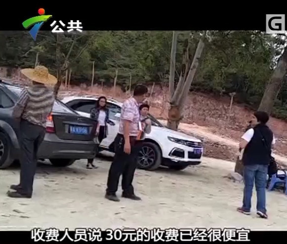 关于村民停车收费举报途径与流程的探讨
