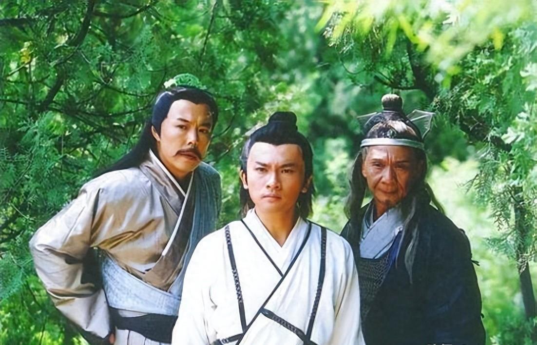 胡军经历，演艺之路的坎坷与辉煌