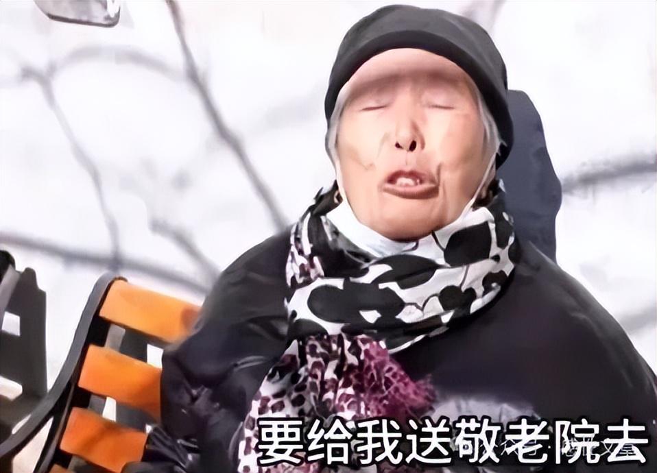 老太被大女儿带出养老院，取光40万存款——人间真情与误解的交织