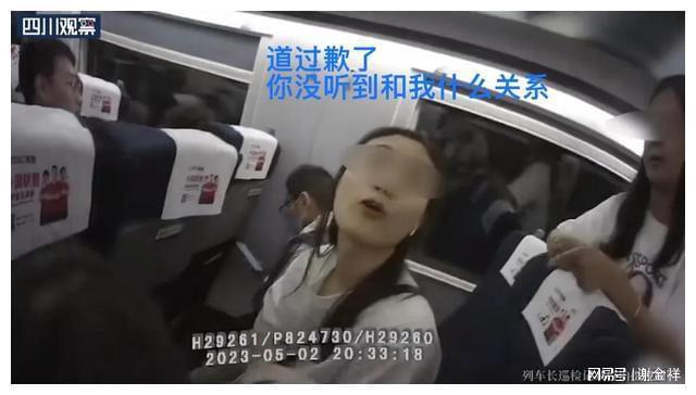 虎门高铁站撞死女孩事件深度解析，监控下的真相与反思