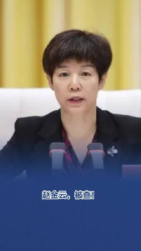 赵金云被开除公职事件深度解析