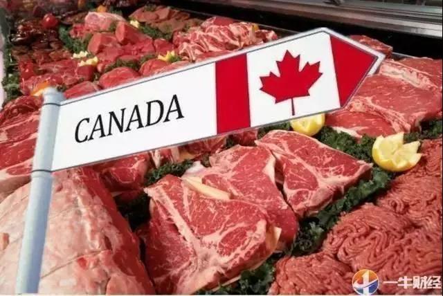 中国停止进口美国猪肉最新消息深度解读