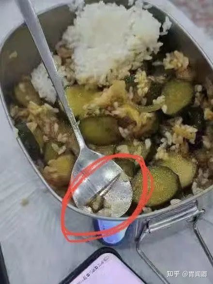 举报饭菜有蛆被骂背后的深思