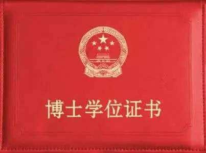 董袭莹博士学位论文曝光事件深度解析