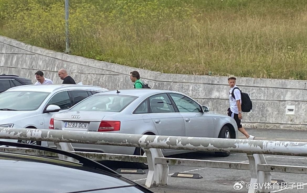西班牙偷车现象，探究背后的原因与解决方案