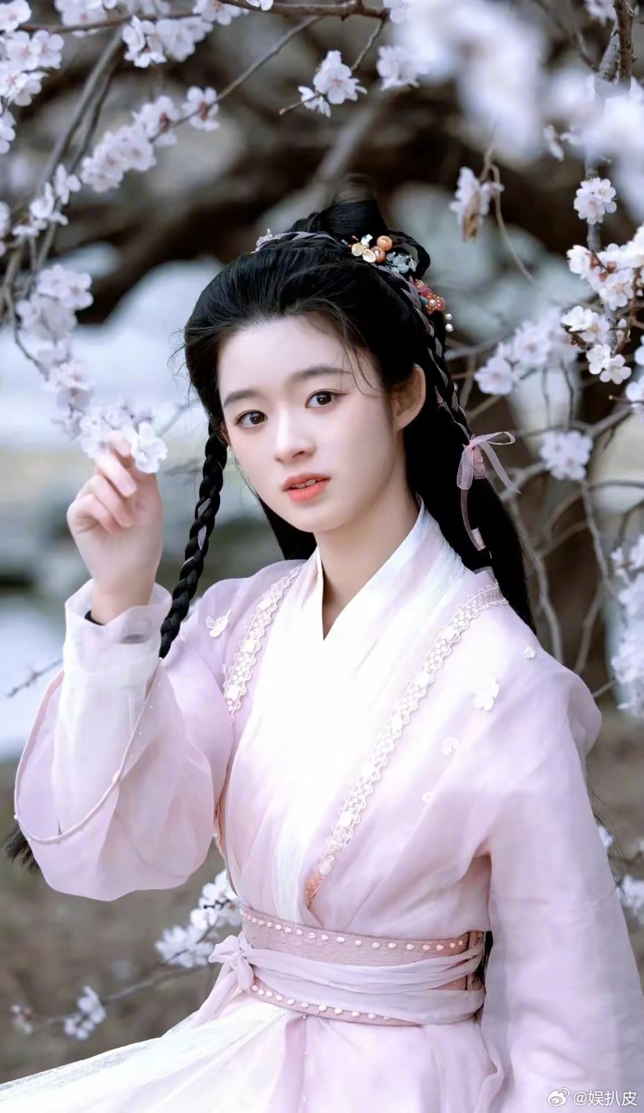 黄杨钿甜父亲经商细节仍需追问