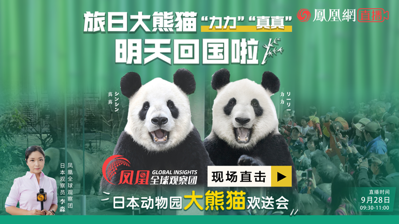 旅日二十年熊猫将归国，跨越海洋的温情回归——一则新闻解读