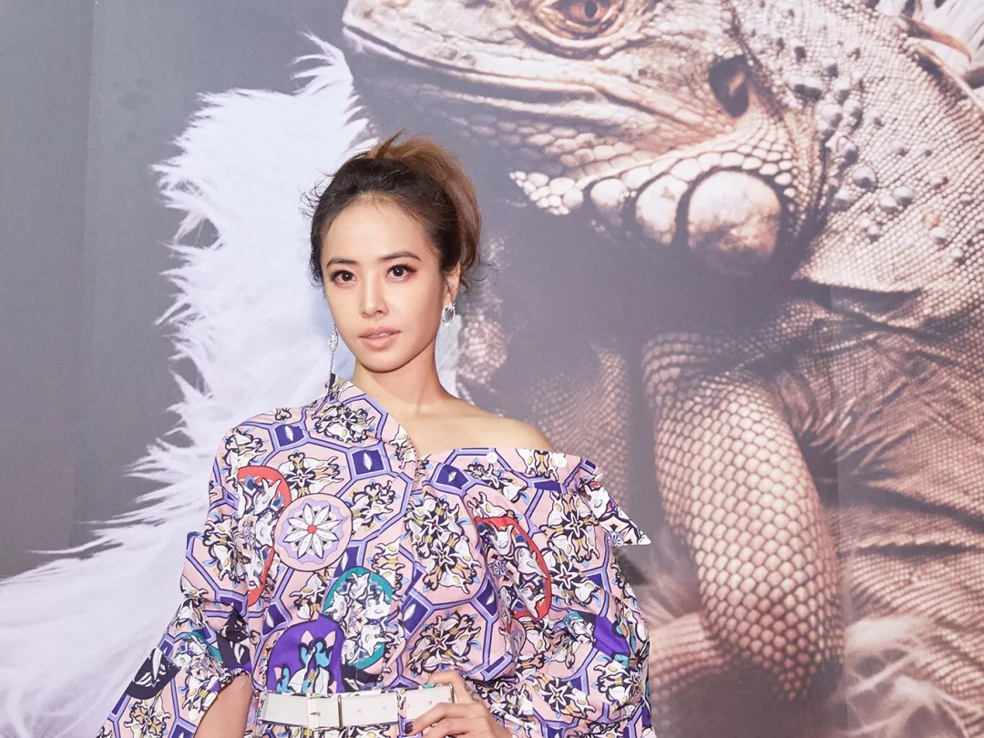 蔡依林2020年，闪耀的明星之光