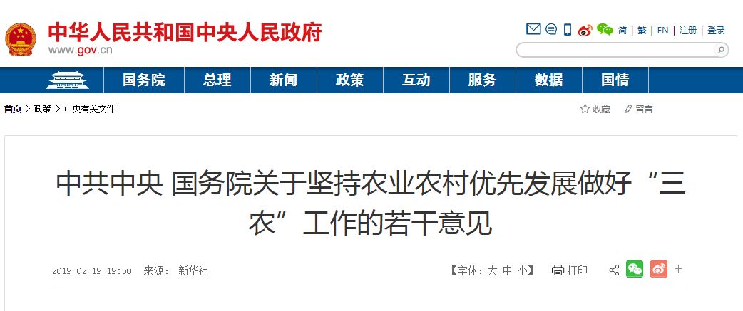 深入解读中央几号文件，政策动向与未来展望