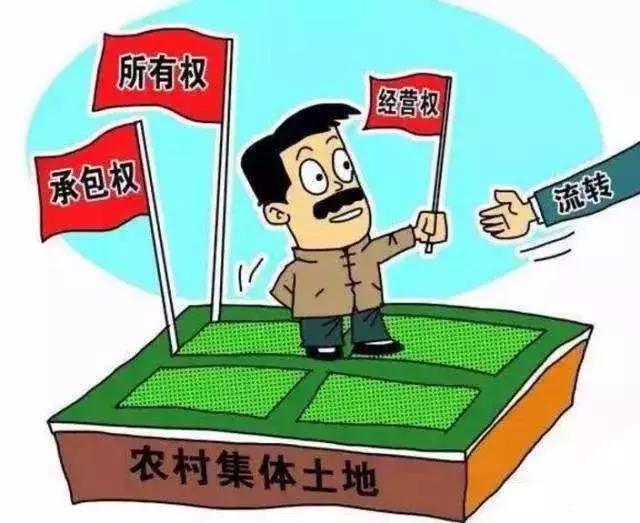 山东一村免费为适龄青年分配楼房，开启安居新篇章