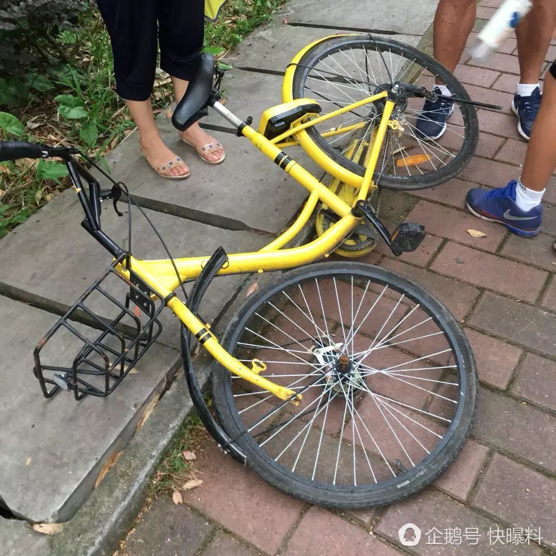 坐共享单车车篮摔死事件，悲剧背后的警示与反思