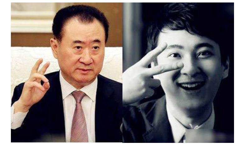 王健林已被冻结4.9亿股权，深度解析事件背景与影响