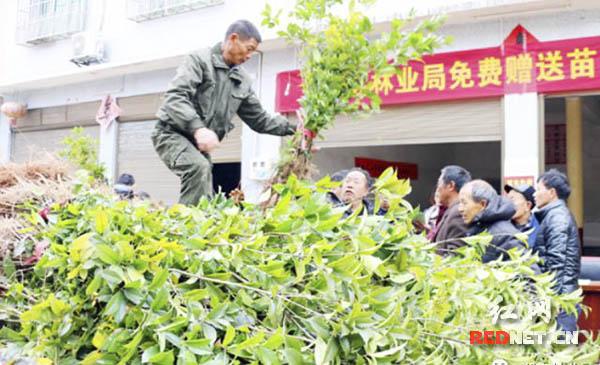 金丝楠木老宅政府补偿，传统与现代的交融