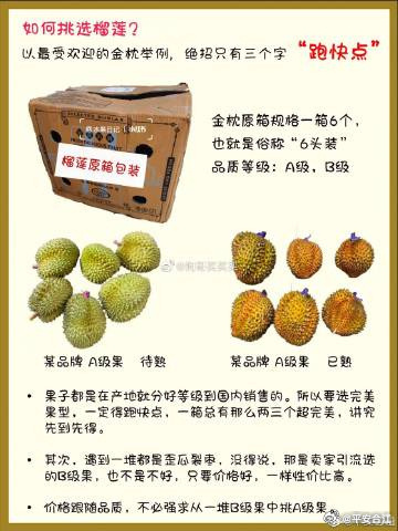 榴莲进价多少钱，市场解析与购买指南