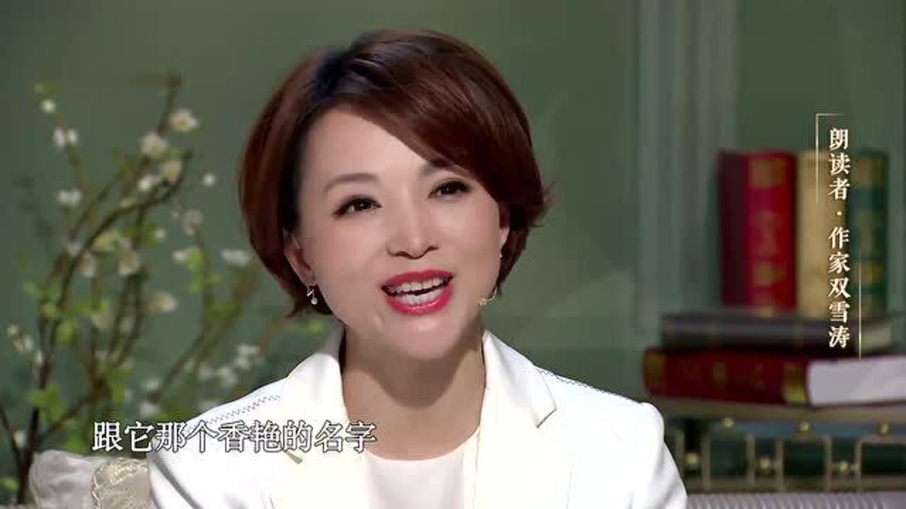 董卿话术，语言之美与人际魅力