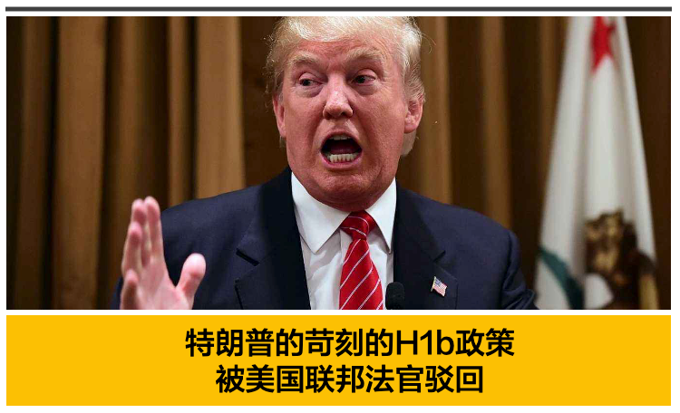 特朗普留学生政策，影响与解读