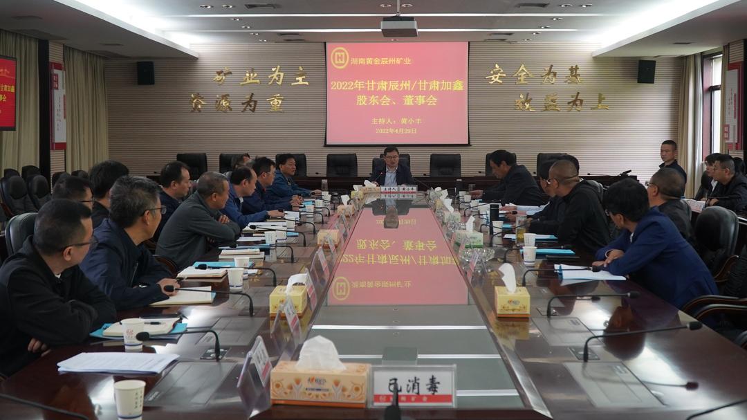 著名黄金公司，黄金行业的璀璨明珠