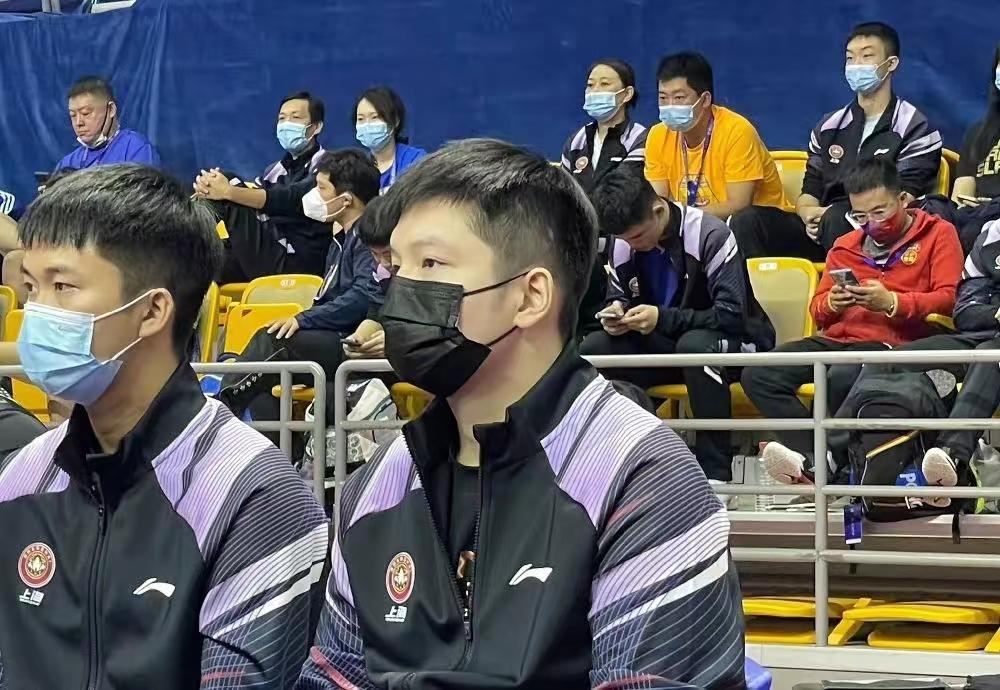 樊振东为何加盟德国乒乓球俱乐部，深度解析