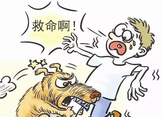 惊魂一刻，7岁男孩遭三只犬撕咬事件深度剖析