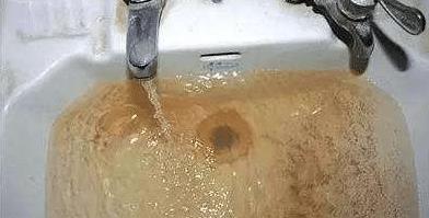 自来水中有虫卵吗？探究水质安全的真相