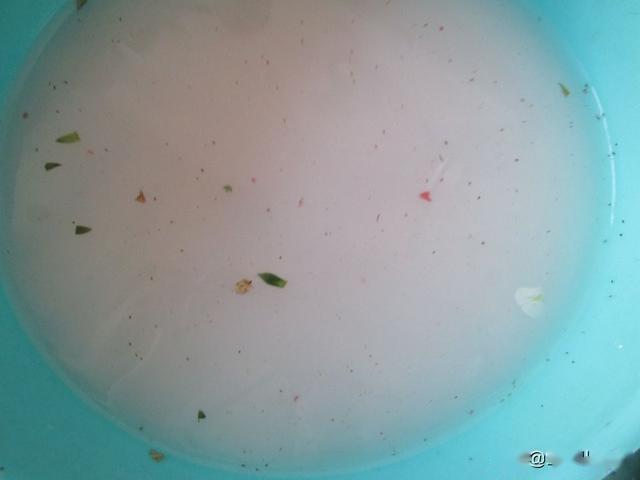 自来水中有虫卵吗？探究水质安全的真相