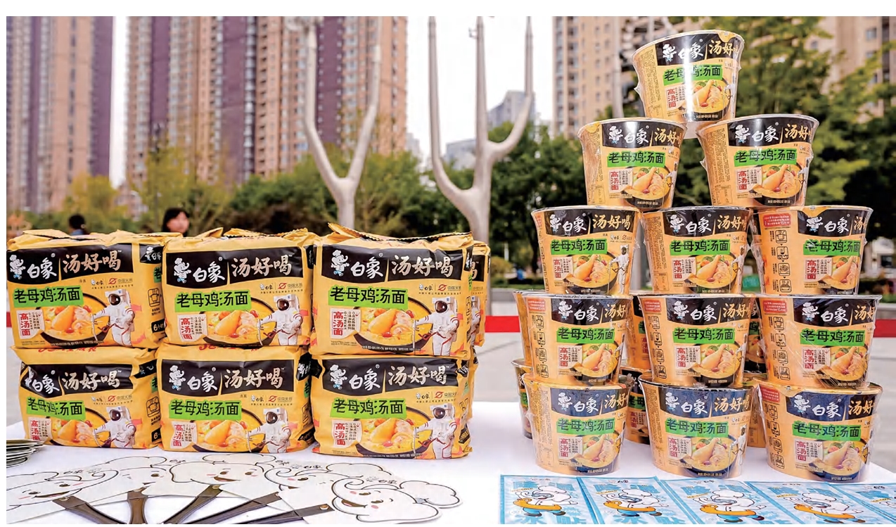 白象方面，深入探究与解析