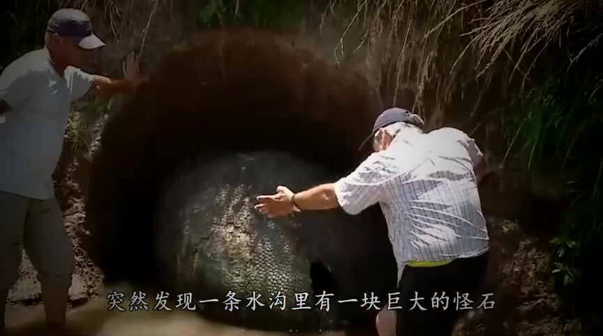 男子散步被青蛇咬伤后忍痛拍照，一场意外的冒险经历