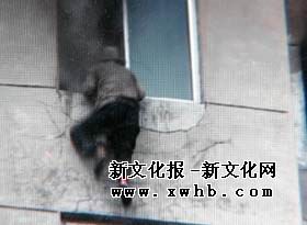 七旬老农遭五步蛇咬后割肉放血自救的奇迹故事