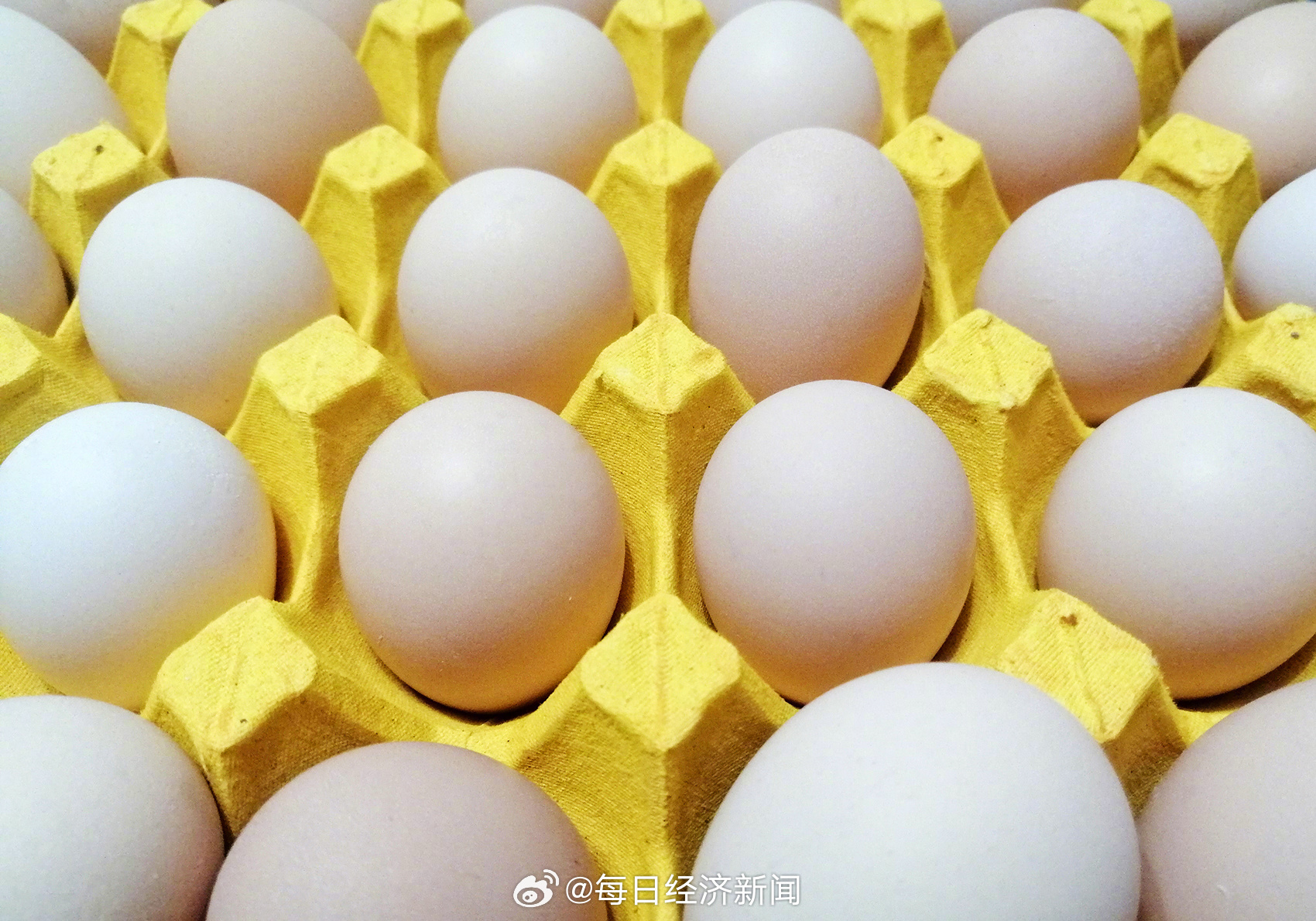 美召回超百万枚鸡蛋风波，食品安全警钟再次敲响