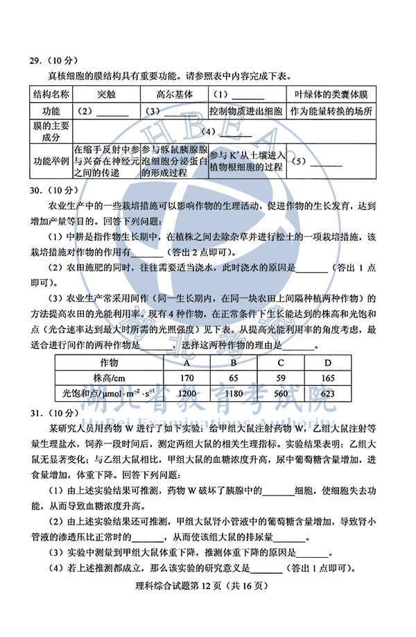 高考文综卷子的挑战与策略