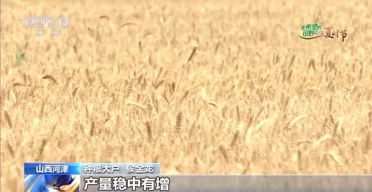 这个夏收季科技范满满