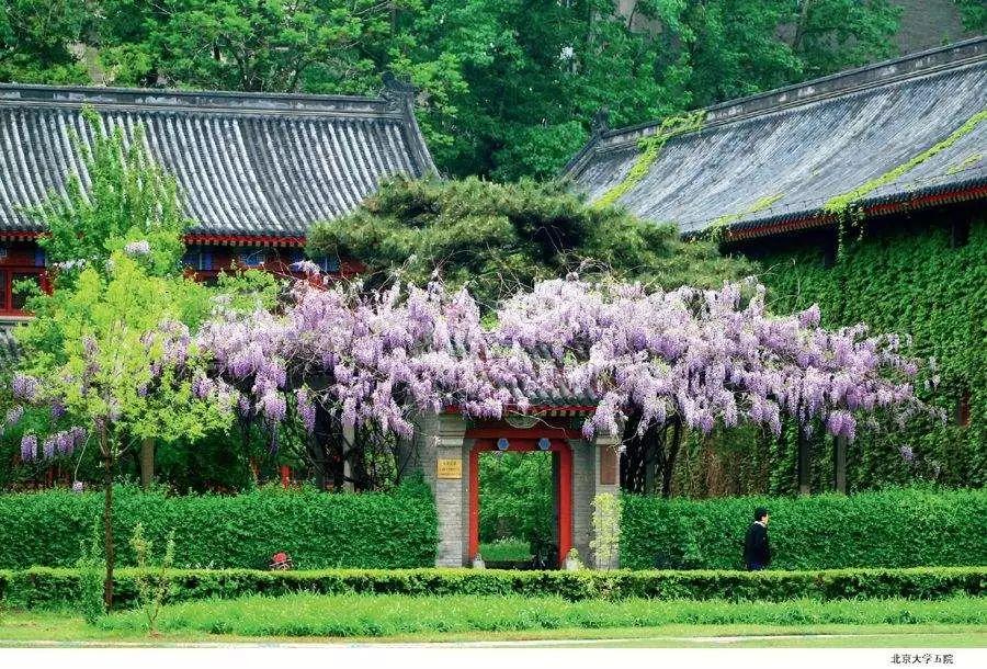 北京大学未名湖的故事，传承与创新的交融