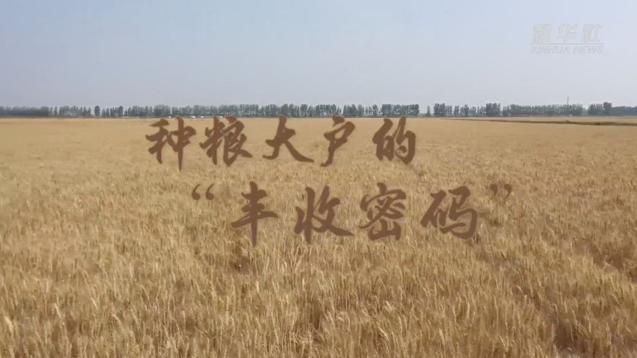 种粮大户的丰收密码