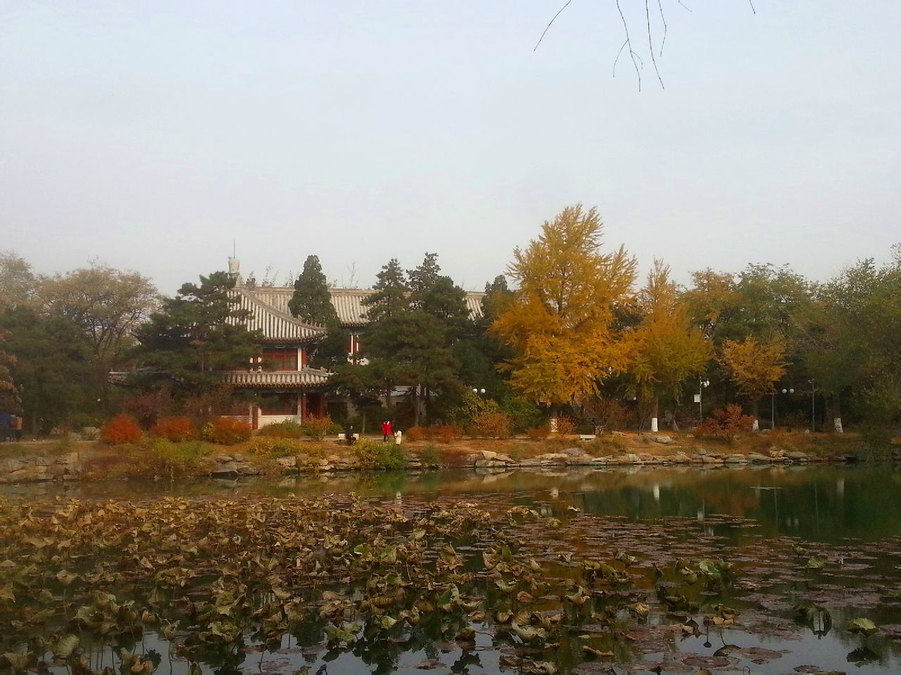 律师解读售卖北京大学未名湖湖水事件