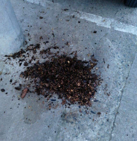 药渣倒路上的说法由来