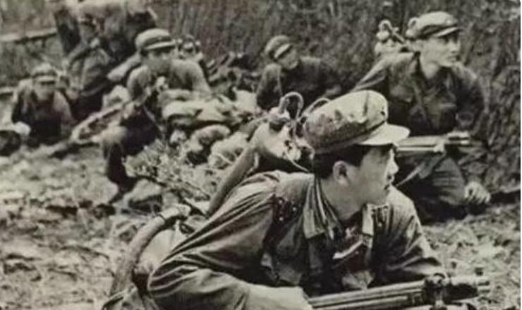 杨长群简历，一位卓越人才的成长轨迹
