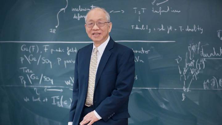 数学家王虹解决世纪难题视频，数学界的重大突破与启示