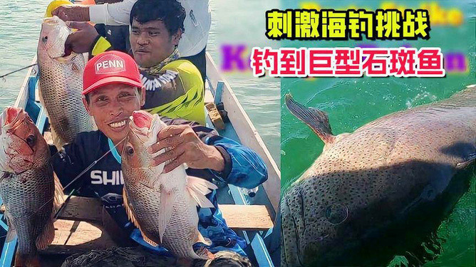 钓获巨型石斑鱼，卖价惊人！72斤石斑鱼卖价三千背后的故事
