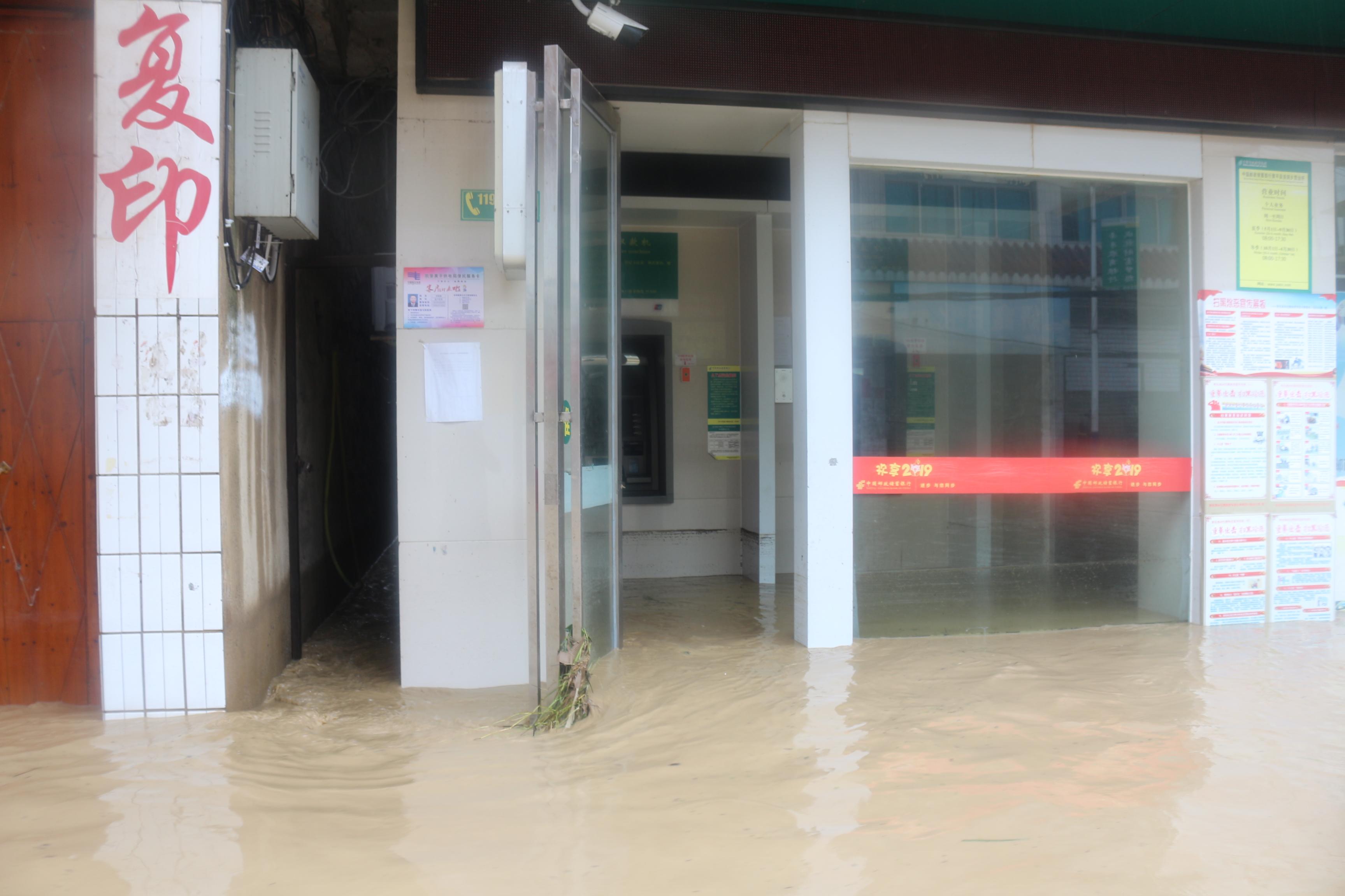 贵州养殖户遭遇洪水冲击，一百多头猪失散，希望与挑战并存
